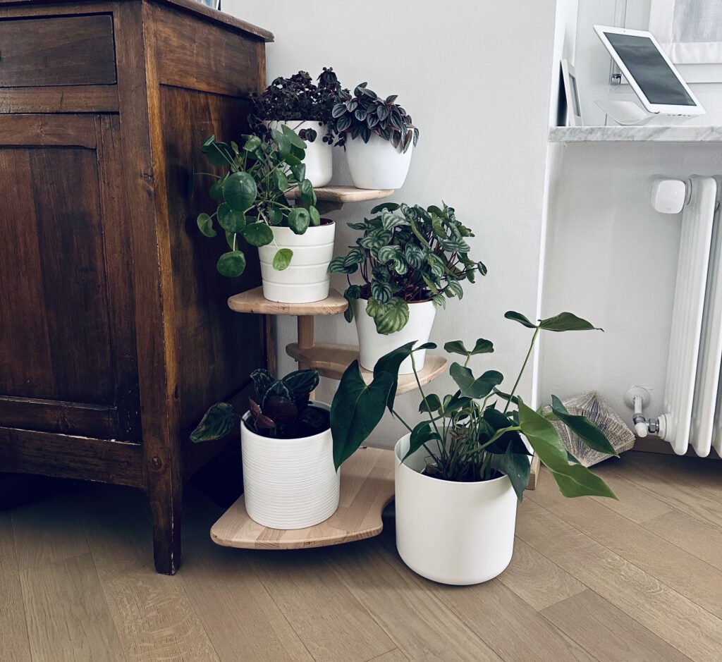Plant Stand